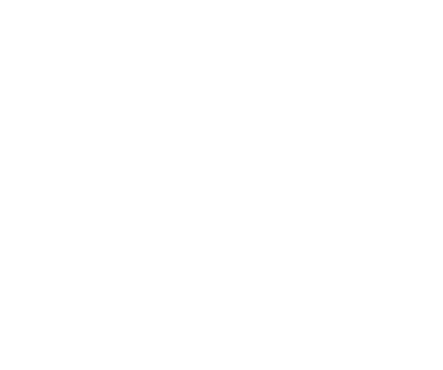 blue phoenix logo squared white